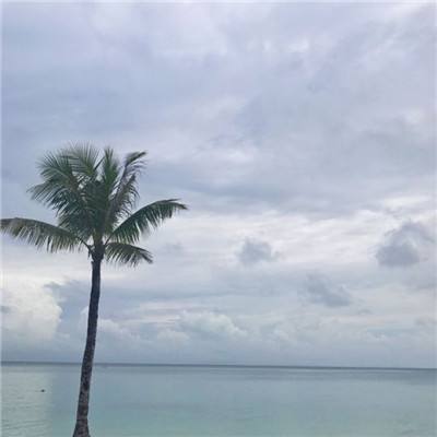 明日决胜官方下载