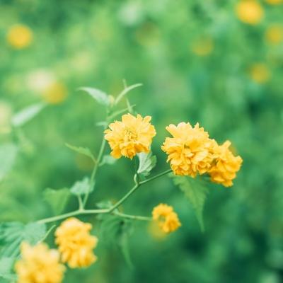 阴阳苍穹变态版下载